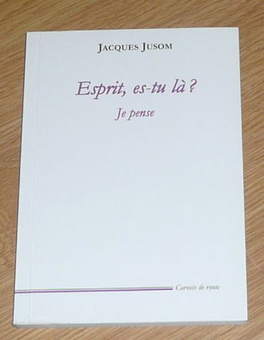 Esprit, es-tu là ? : Je pense (Carnets de route)