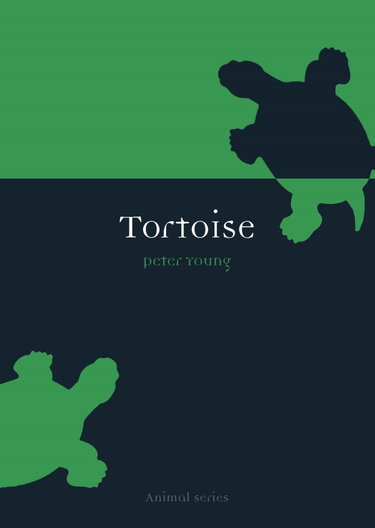 Couverture de Tortoise