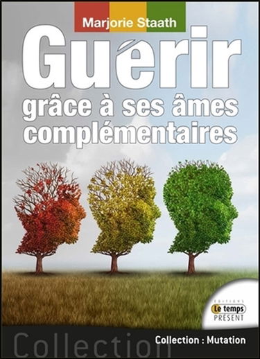 Guérir grâce à ses âmes complémentaires