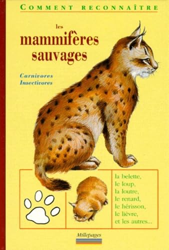 Les mammifères sauvages : carnivores, insectivores, lagomorphes