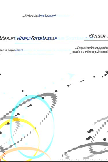 Penser, Voir et Agir Systémique: Comprendre et apprivoiser la complexité grâce au Penser Systémique