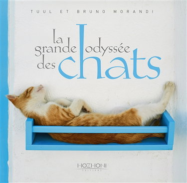 Couverture de La grande odyssée des chats