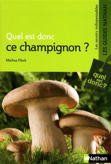 Quel est donc ce champignon ?