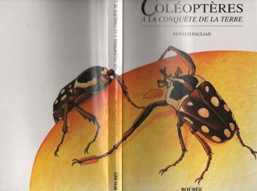 Les Coléoptères à la conquête de la Terre