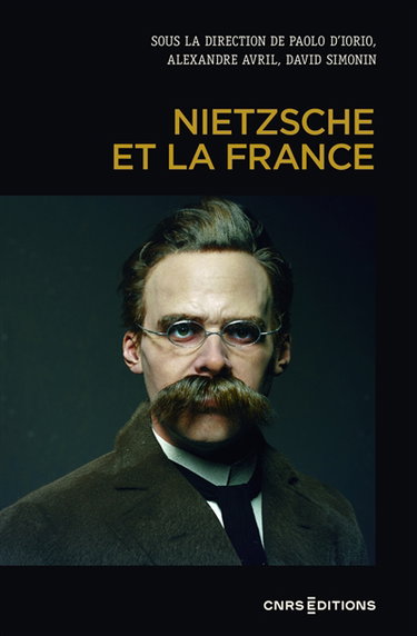 Couverture de Nietzsche et la France