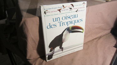 Qui suis-je ? Un oiseau des Tropiques
