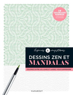 Lignes mystères : Dessins zen et mandalas