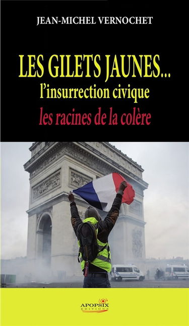 Les gilets jaunes... l'insurrection civique : les racines de la colère