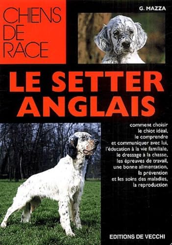 Le setter anglais