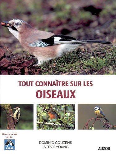 Tout connaître sur les oiseaux