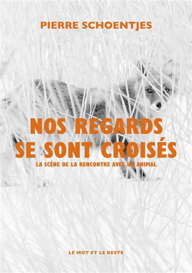 Nos regards se sont croisés : la scène de la rencontre avec un animal