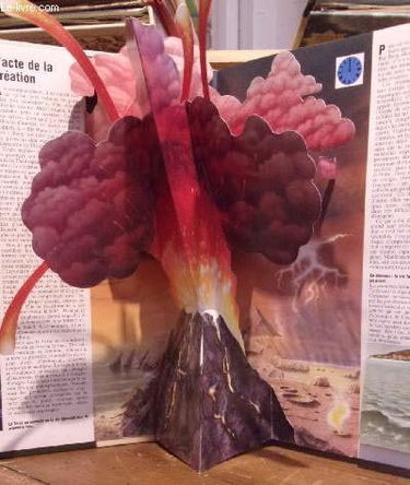 L'Evolution : histoire des origines de l'humanité