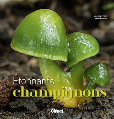 Etonnants champignons