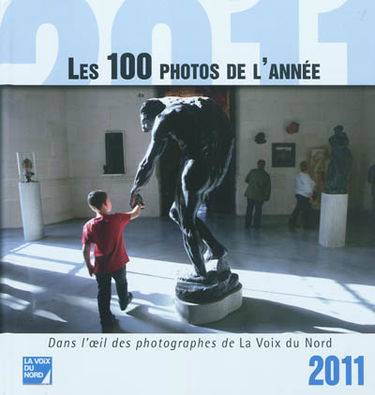 Les 100 photos de l'année 2011 : dans l'oeil des photographes de la Voix du Nord