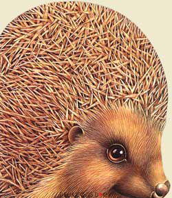 Le Hérisson de la ferme