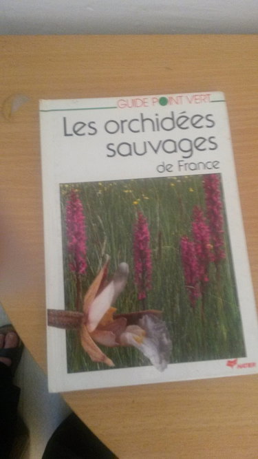Couverture de Les Orchidées sauvages de France