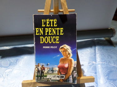 L'Été en pente douce