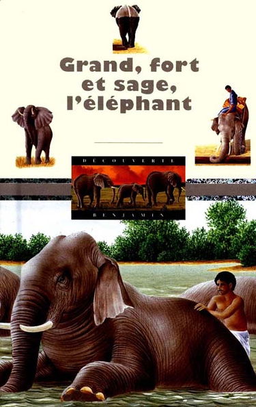 Grand, fort et sage, l'éléphant