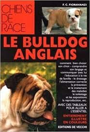 Le Bulldog anglais