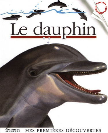 Le dauphin