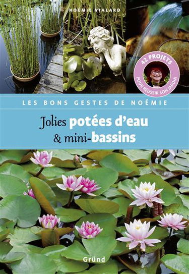 Jolies potées d'eau & mini-bassins