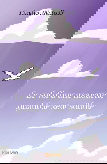Le vol d'une mouette quand le vent souffle