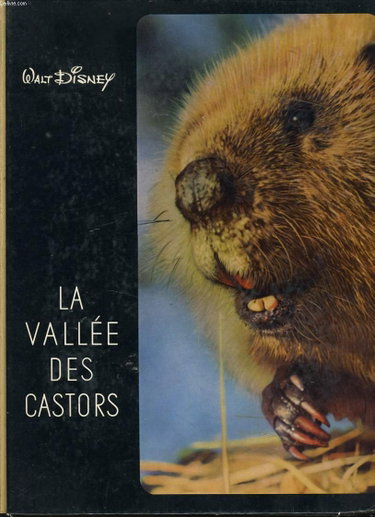 Couverture de La vallee des castors.