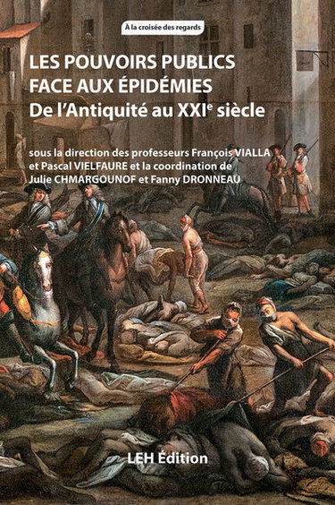 Couverture de Les pouvoirs publics face aux épidémies : de l'Antiquité au XXIe siècle