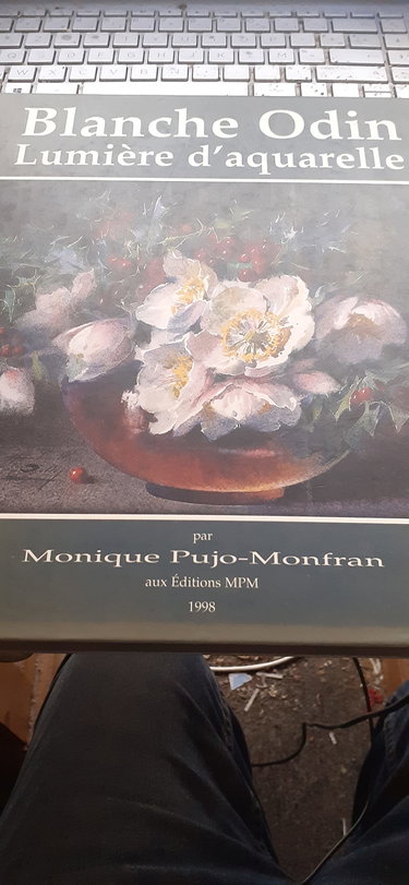 Couverture de Blanche Odin: Lumière d'aquarelle