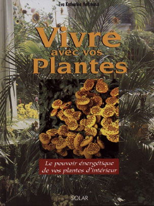 Vivre avec vos plantes : le pouvoir énergétique de vos plantes d'intérieur