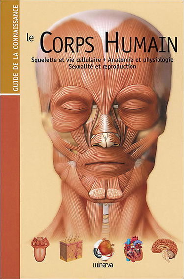 Le corps humain