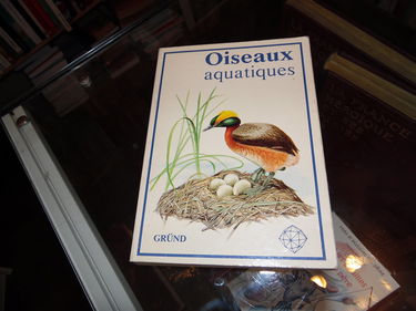 Oiseaux aquatiques