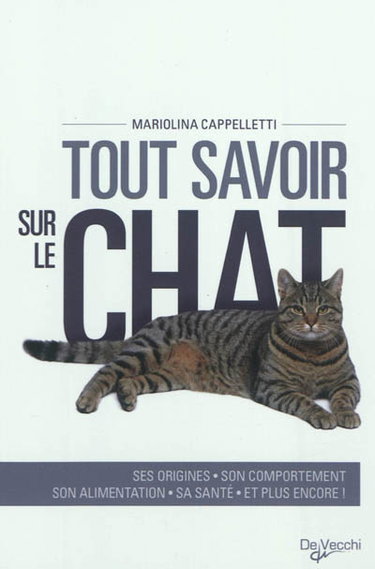 Tout savoir sur le chat