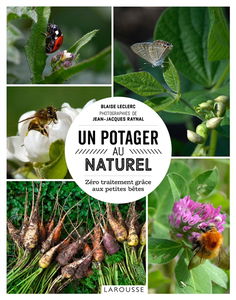 Un potager au naturel : zéro traitement grâce aux petites bêtes