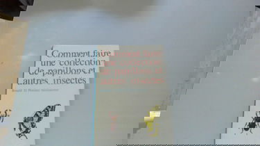 Comment faire une collection de papillons et autres insectes