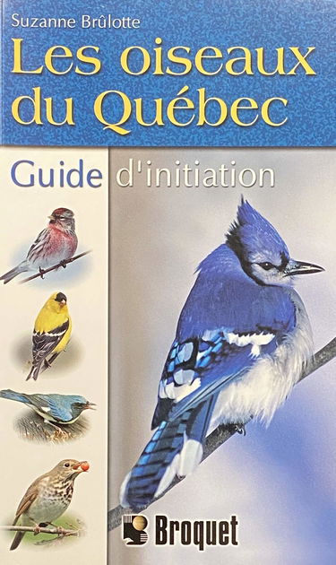 Les oiseaux du Québec, guide d'initiation