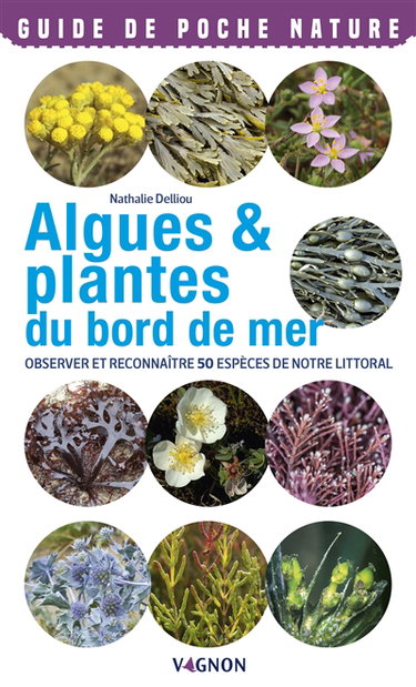 Couverture de Algues & plantes du bord de mer : observer et reconnaître 50 espèces de notre littoral