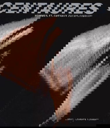 Centaures : hommes et chevaux