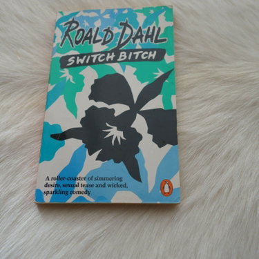 Couverture de Switch Bitch