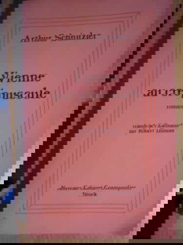 Vienne au crépuscule