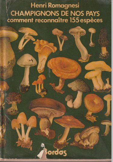 Champignons de nos pays