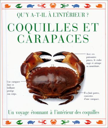 Coquilles et coquillages