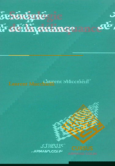 Sociologie de la délinquance