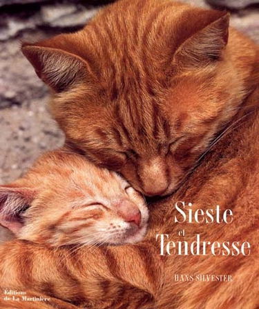 Sieste et tendresse