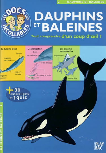 Les dauphins et baleines