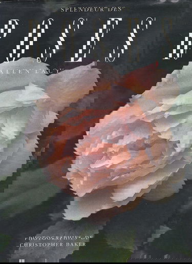 Splendeur des roses