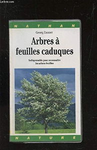Arbres à feuilles caduques : indispensable pour reconnaître les arbres feuillus