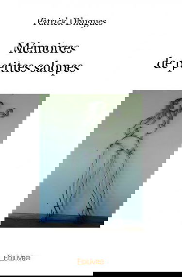 Mémoires de petites salopes