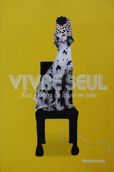 Vivre seul: Les plaisirs de la vie en solo