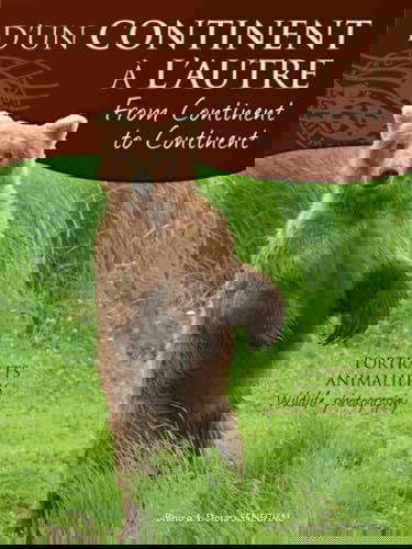 D'un continent à l'autre: Portraits animaliers